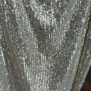 Baum and Pferdgarten sequin skirt. Never worn. Perfect for a shimmery night.